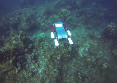 Autonomous Navigation for an Underwater Robot with Obstacle Avoidance