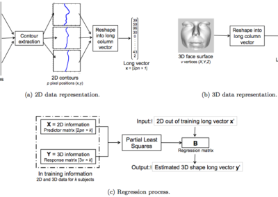 Statistical models of Shape and texture for face analysis