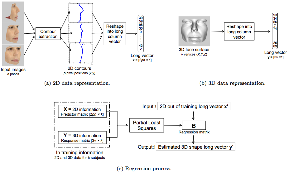 Statistical models of Shape and texture for face analysis