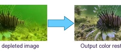 Color Adaptive Training for Underwater Color Restoration